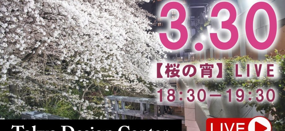 TDC桜の宵YouTubeライブサムネイル